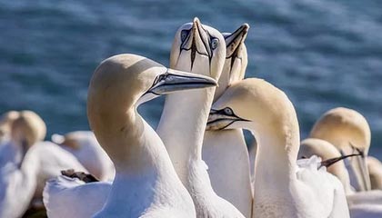 曼城搅局!赫塔德国新秀成四雄争夺对象,巴萨“低成本”计划能否自救?